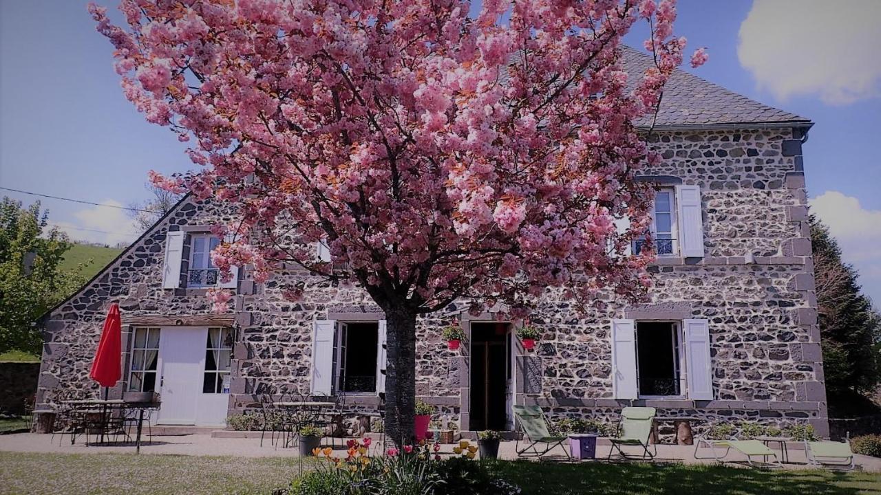 Maison D'Hotes La Nichee Rochefort-Montagne Εξωτερικό φωτογραφία